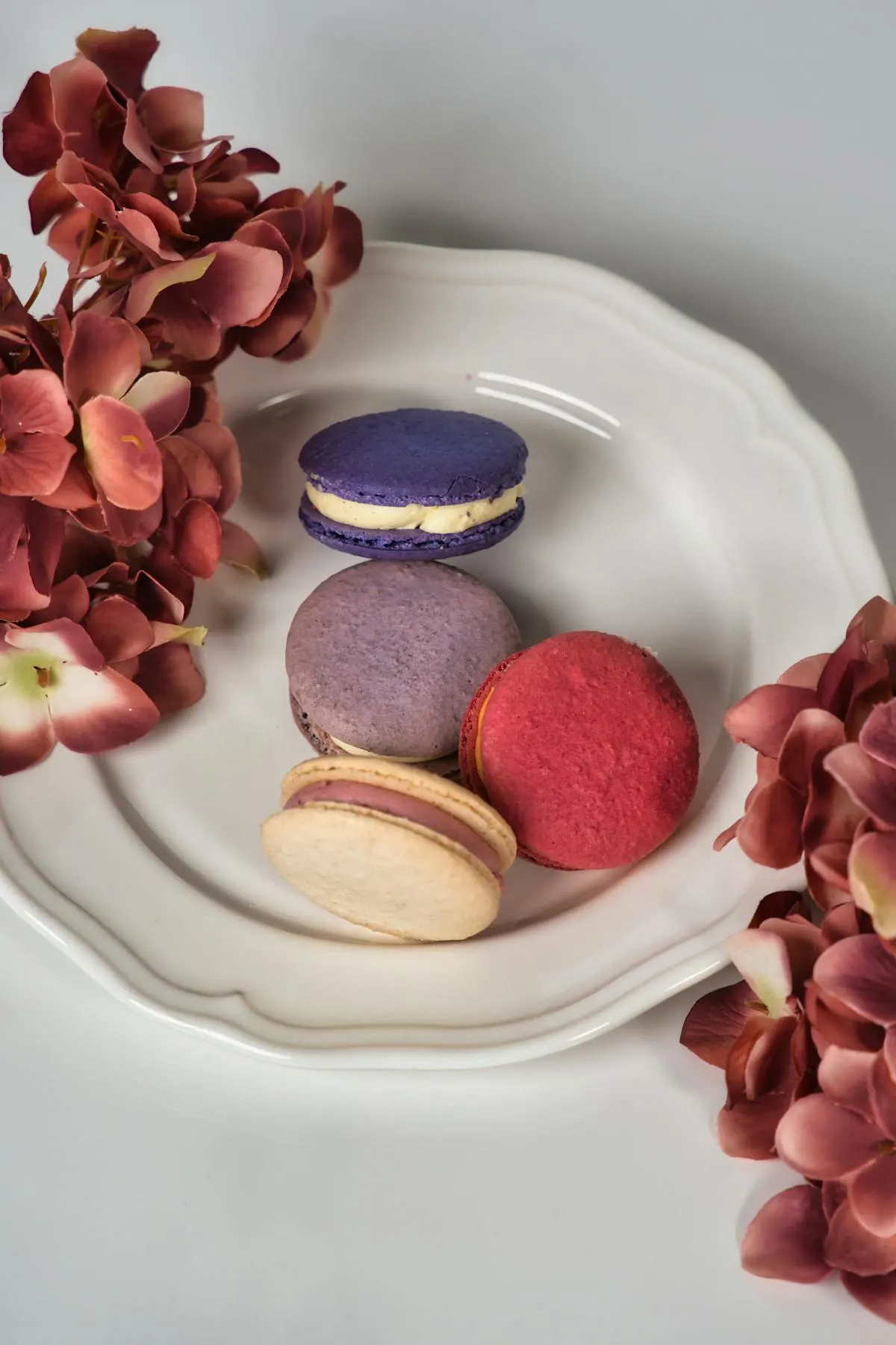 A selection of macarons in violet, lavender, raspberry red, and ivory on a white plate beside dried hydrangeas.